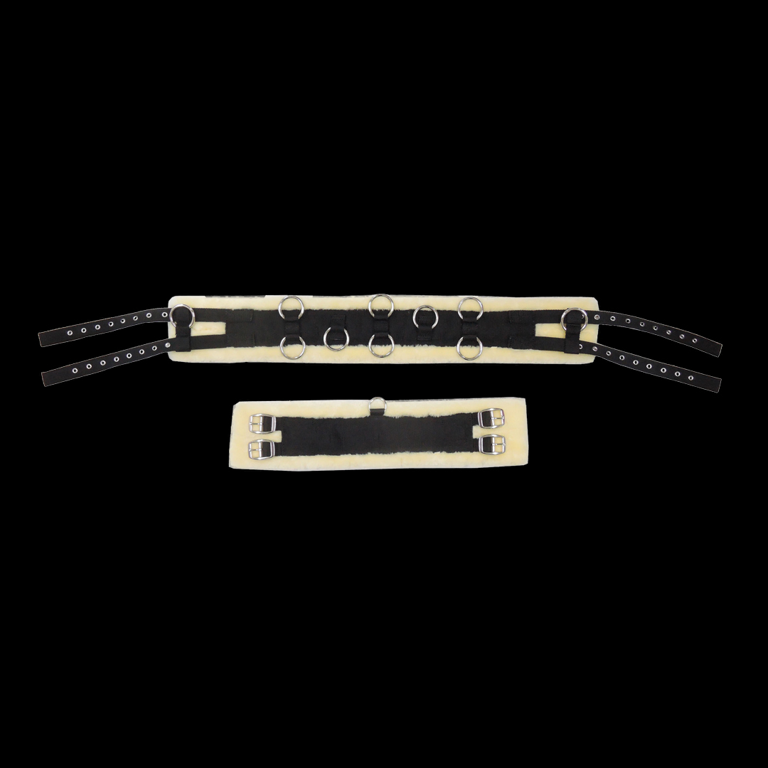 cincha de lana inglesa