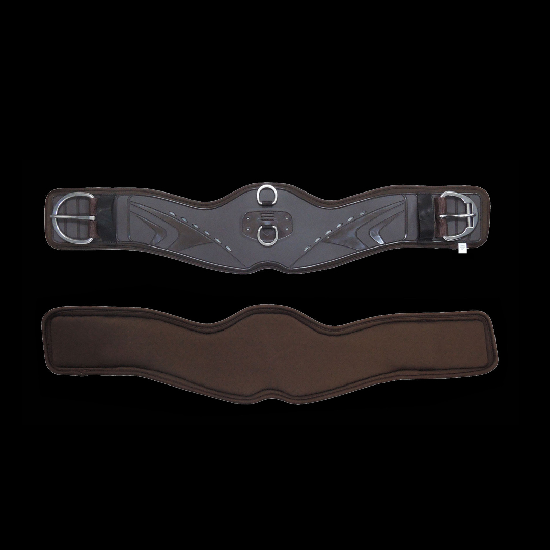 circunferencia occidental