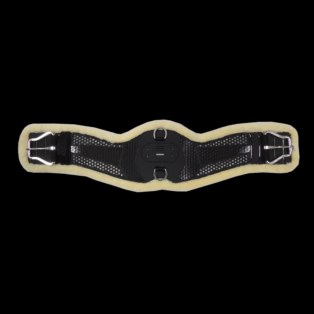 circunferencia de lana occidental