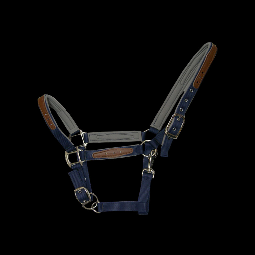NYLON HORSE HEADGEAR