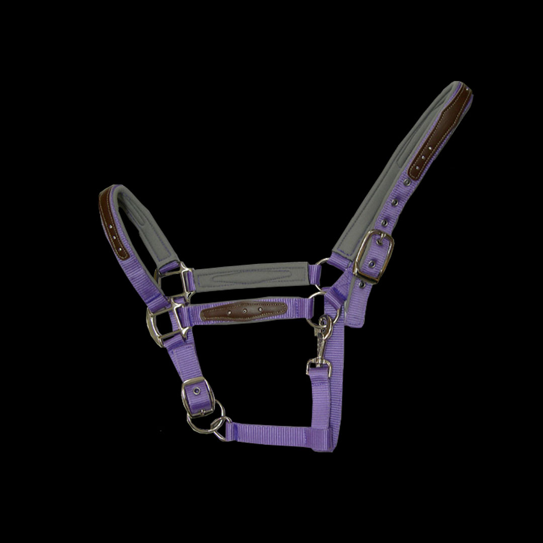 NYLON HORSE HEADGEAR
