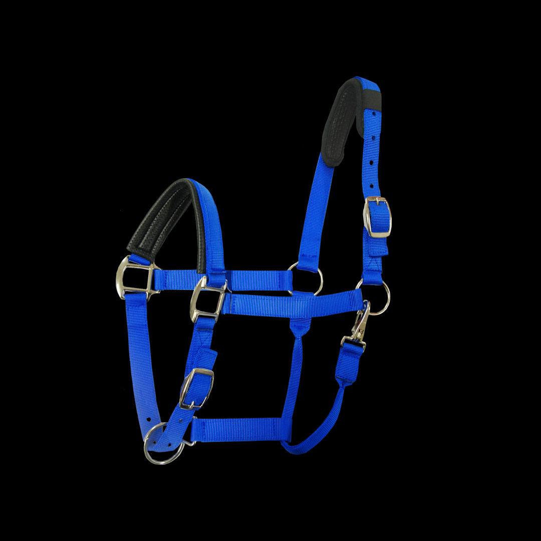 パッド入りナイロンデラックスホルター