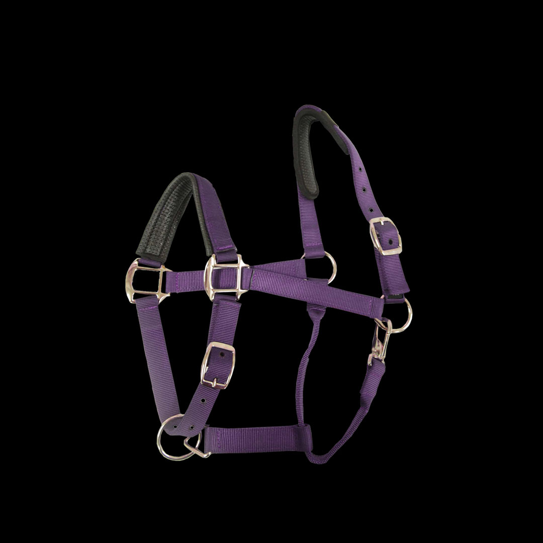 パッド入りナイロンデラックスホルター