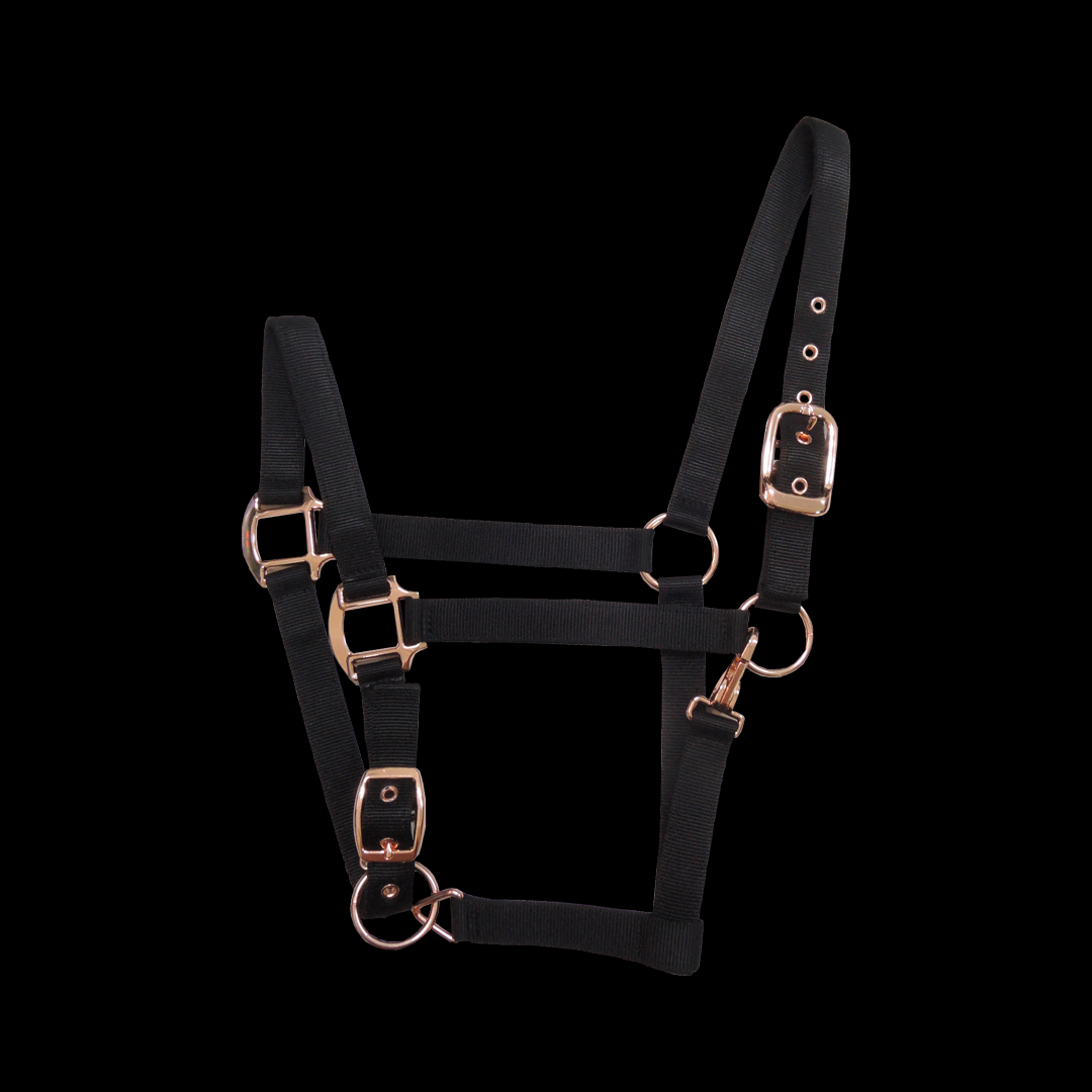 NYLON HALTER COLOR PLATED BUCKLES