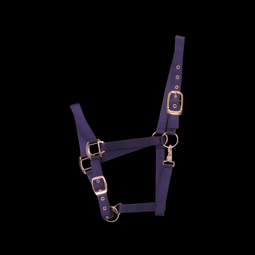 NYLON HALTER COLOR PLATED BUCKLES