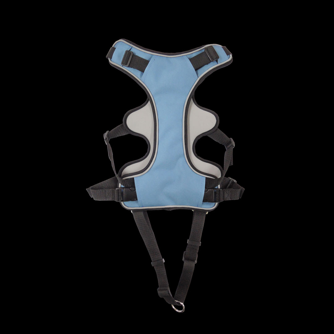 sangle de poitrine pour chien